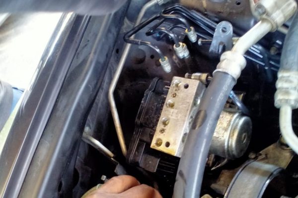 WhatsApp Image 2025-07-09 at 14.10.36_a4488979